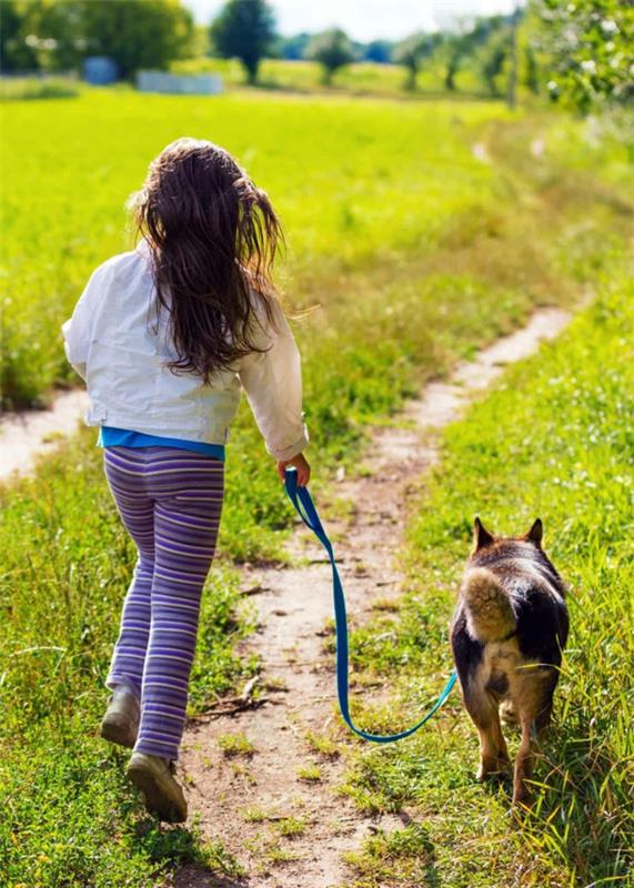 παιδί σκύλος βόλτα τσιμπούρι τσίμπημα αναγνωρίζει