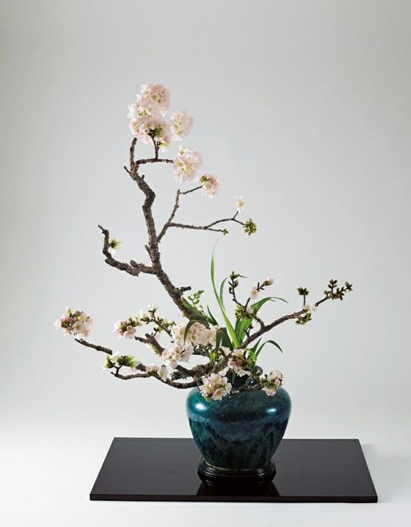 κεράσι άνθος ikebana ιαπωνική ρύθμιση λουλουδιών