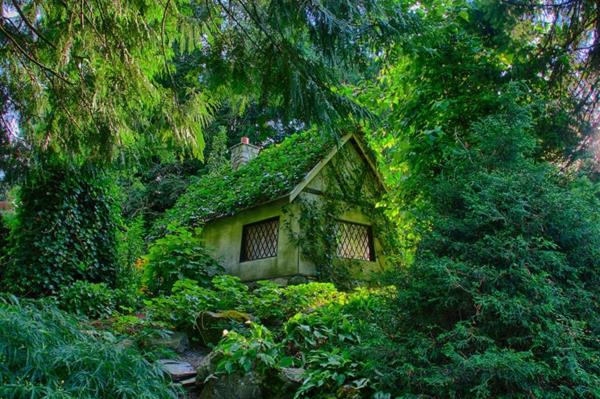 μικρά ξύλινα σπίτια, άγρια ​​φύση, παραμυθένια