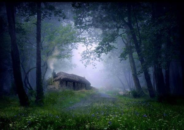Ξύλινα σπίτια ομίχλη άγριας φύσης