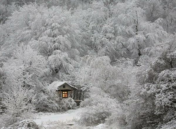 μικρά ξύλινα σπίτια φύση λευκός χειμώνας