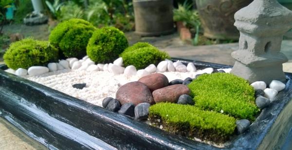 δημιουργήστε μικρούς κήπους zen κήπο σε μικρογραφία