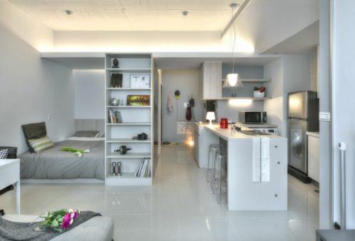 μικρό-διαμέρισμα-επίπλωση-ένα δωμάτιο-διαμέρισμα-κουζίνα-σειρά-κουζίνα-νησί-ράφια