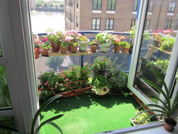 μικρό μπαλκόνι δημιουργεί φυτά διάθεση