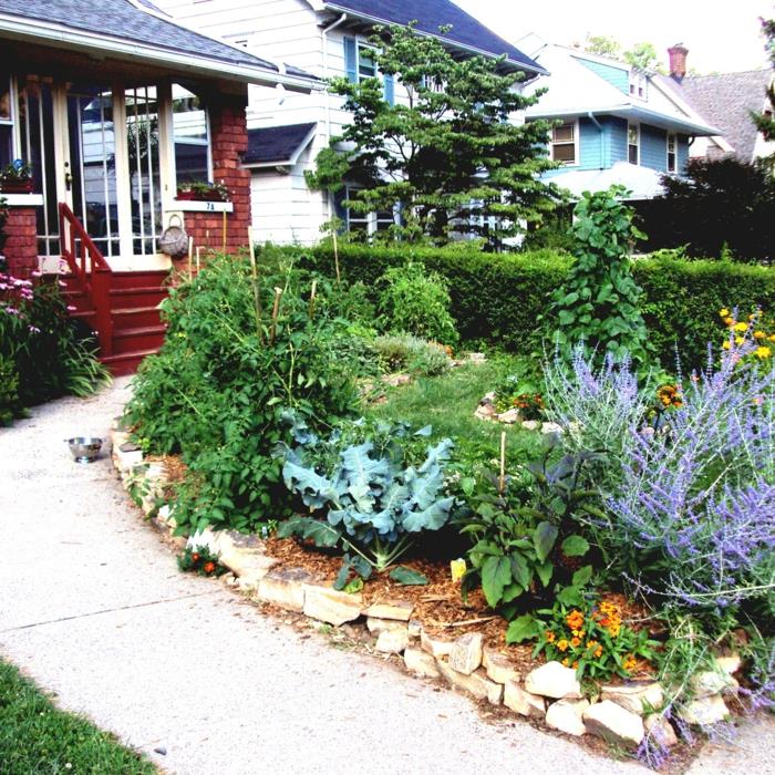 Δημιουργήστε ένα μικρό κήπο φυτά άκρες κρεβάτι πέτρες μονοπάτι κήπου