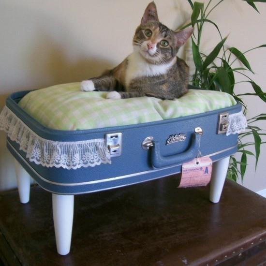 βαλίτσα κρεβάτι γάτας από παλιά σε νέα