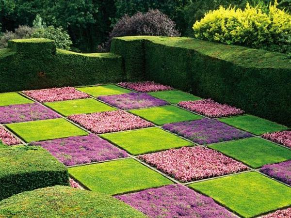 χρώμα στο σχέδιο σκάκι στον κήπο με είδη λουλουδιών