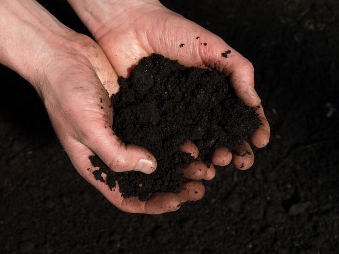 Δημιουργήστε λίπασμα Φτιάξτε λίπασμα μόνοι σας φρέσκο ​​χώμα