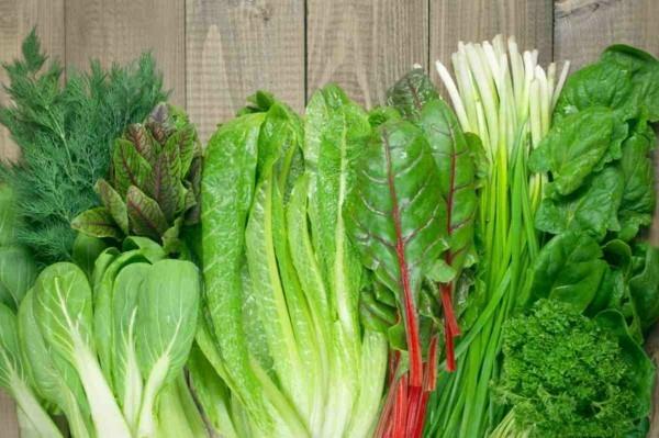 Μαρούλι Swiss chard αποτέλεσμα φολικού οξέος