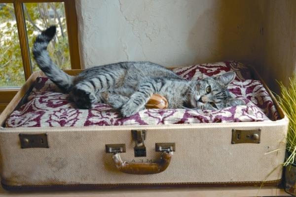 δημιουργικές ιδέες χειροτεχνίας σπιτάκι γάτας από βαλίτσα