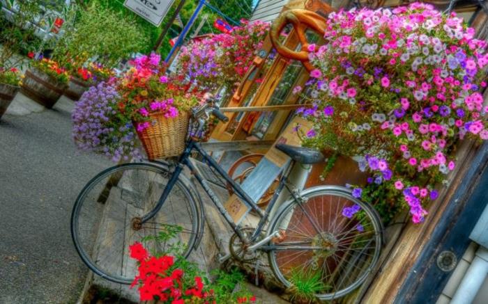 δημιουργικές ιδέες κήπου για μικρούς κήπους ποδήλατο πολύχρωμο