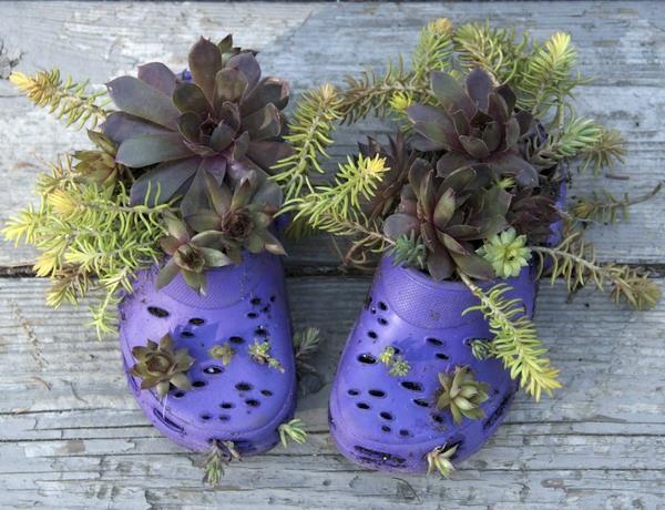 δημιουργικές ιδέες ανακύκλωσης καουτσούκ παλιά μοβ παπούτσια που χρησιμοποιούνται ως γλάστρες