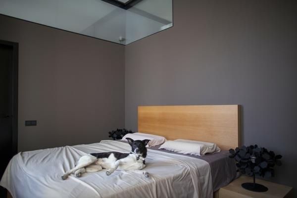 δημιουργικό διαμέρισμα με ρέον ντιζάιν μινιμαλιστικό υπνοδωμάτιο με σκύλο