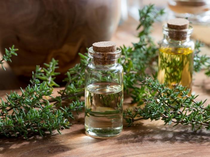 Βότανα για την αναπνευστική οδό λεμόνι και θυμιανοέλ