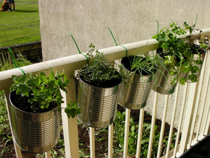 βότανο κήπο δημιουργήστε μαϊντανό φροντίδα γλάστρα στο σπίτι