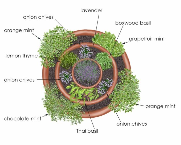 βότανο σπειροειδής πέτρα μικρές πέτρες γεμάτες άνθιση χτίζουν κύκλους βότανα σπείρα