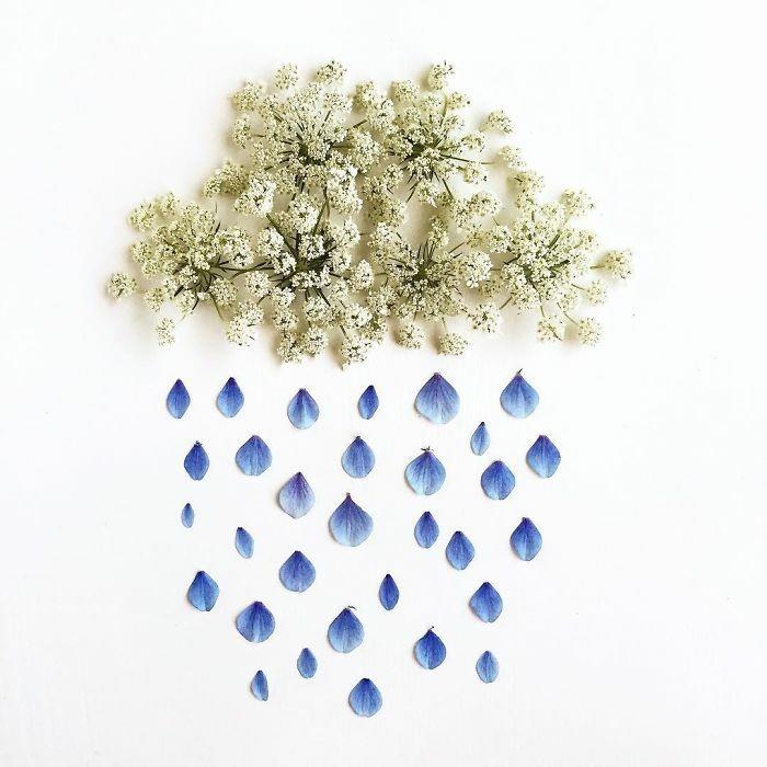 αντικείμενα τέχνης bridget collins λουλούδια άνθος βροχή