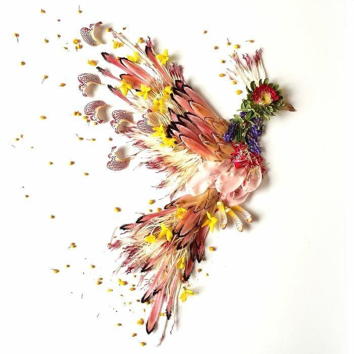 αντικείμενα τέχνης Μπρίτζιτ Κολλίνς λουλούδια Φοίνικας