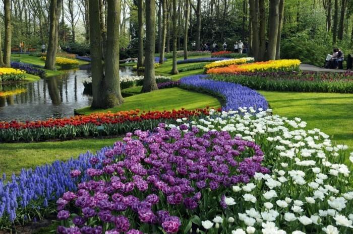 σύντομο ταξίδι στο Άμστερνταμ keukenhof όμορφα λουλούδια και ένα υπέροχο μείγμα χρωμάτων