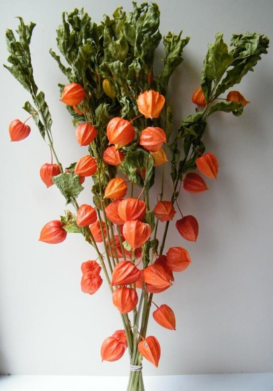 φθινοπωρινό μπουκέτο λουλούδι λάμπιον