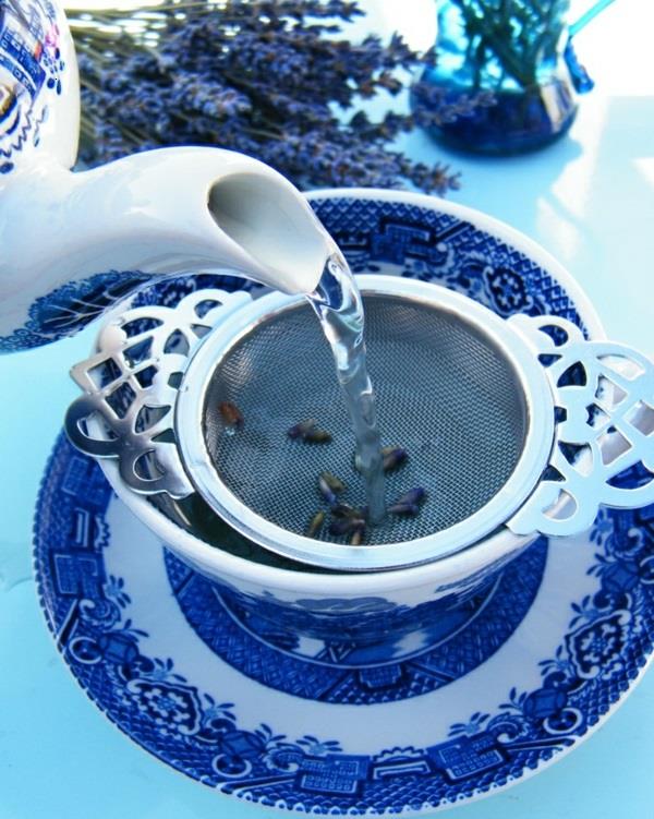 εφέ τσαγιού λεβάντας πιείτε τσάι από βότανα