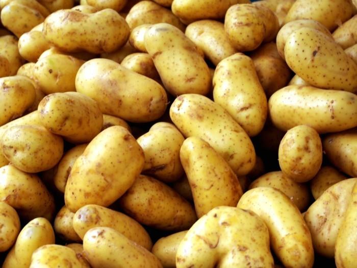 ζωντανές υγιείς πατάτες αποθηκεύστε σωστά συμβουλές