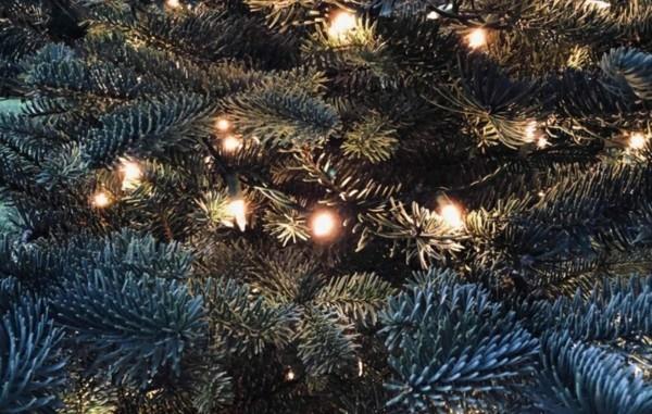 led fairy lights βιώσιμα Χριστούγεννα