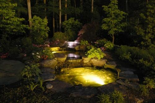 κήπος λάμπει όμορφη βραδινή κεριά φύση