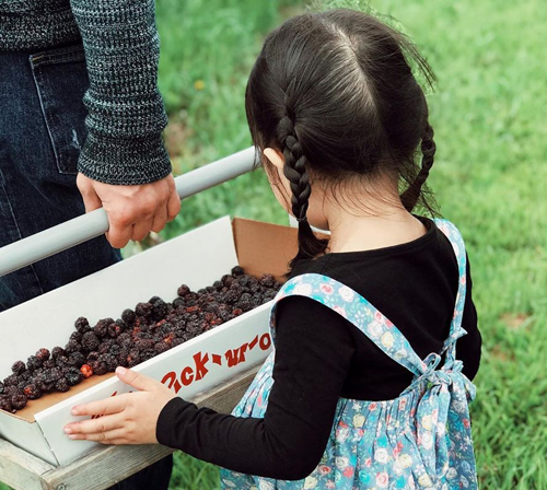 Kız bebek için basit saç modeli