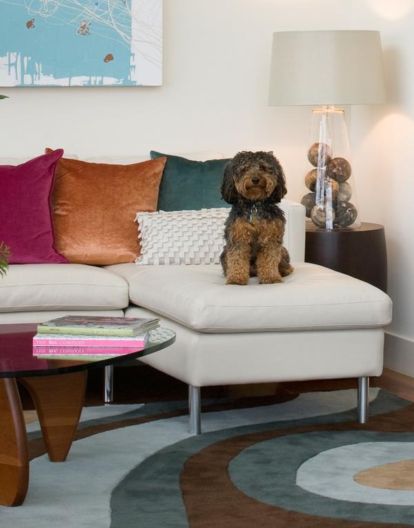αστεία καναπές σκύλων μαξιλάρι σκυλιά στο σπίτι επιτραπέζιο φωτιστικό