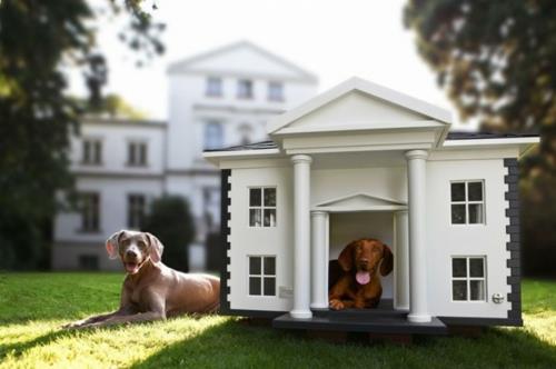 Σπίτι σκυλιών σχεδιάζει μοντέρνο σπίτι στο πάτωμα