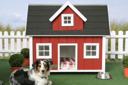 πολυτελές σπίτι σκυλιών σχεδιάζει κόκκινο μαύρο πρωτότυπο ύπνο