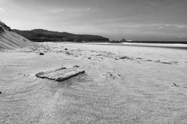 Μαγνητική σανίδα κάνει έκθεση ιδεών driftwood