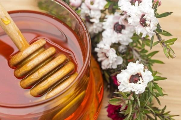 Μέλι Manuka