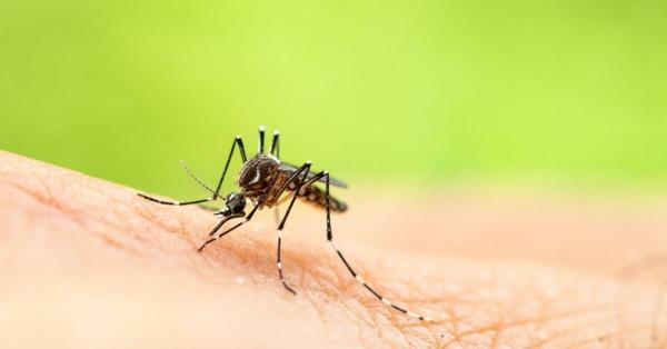 απωθούν τα κουνούπια αντιμετωπίζουν τα τσιμπήματα