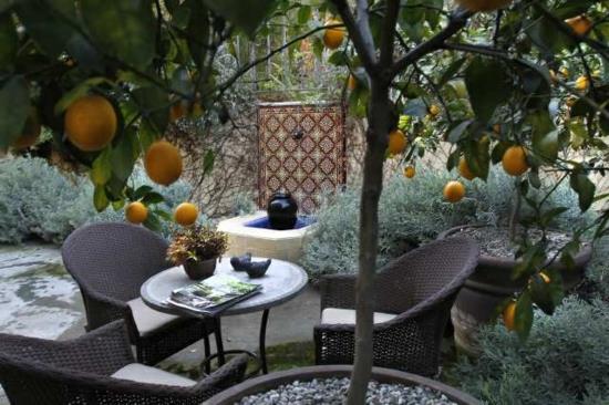 ο μεσογειακός κήπος δημιουργεί ιδέες για φυτά καθιστικά έπιπλα κήπου από μπαστούνι