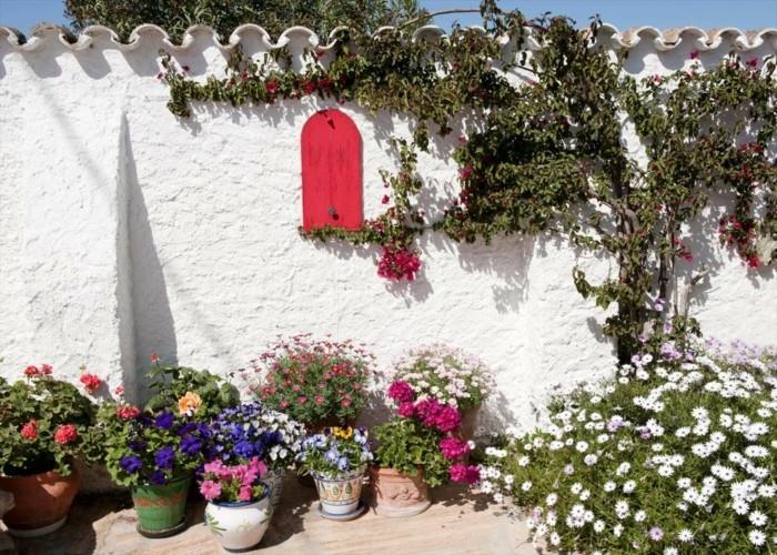 Μεσογειακές διακοσμήσεις λουλουδιών κήπου και φρέσκα χρώματα