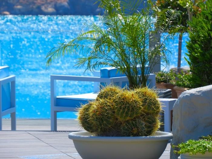 μεσογειακός κήπος που απλώνει τη μεσογειακή αίσθηση στον δικό σας κήπο