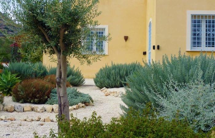 τα φυτά και οι πέτρες του μεσογειακού κήπου συνδυάζονται