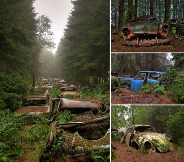 ανθρώπινη και φύση γη και ανθρώπινη φύση εικόνες δάσος θραύσματα αυτοκινήτων