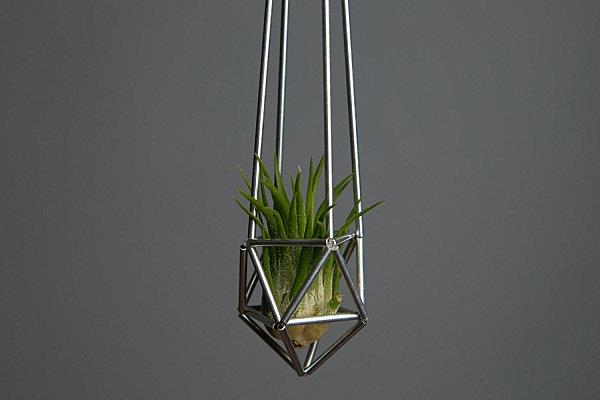 μεταλλικά γεωμετρικά γλάστρες φυτεύει τρίγωνα
