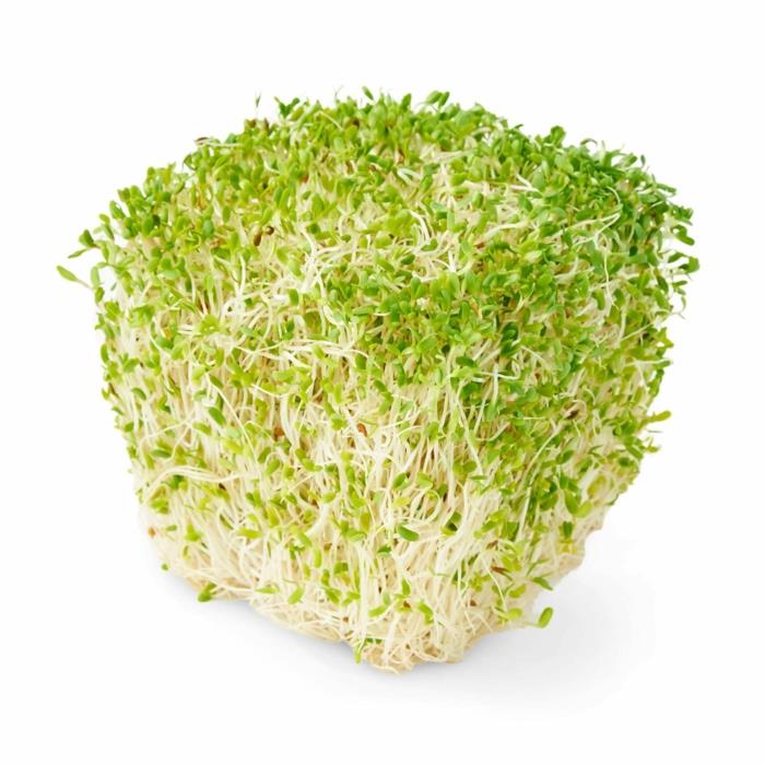 microgreens νόστιμη μηδική