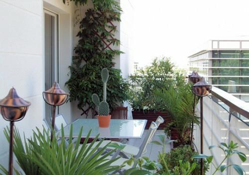 μοντέρνο μπαλκόνι ζεστά εξωτικά φυτά γυάλινα τραπέζια κάκτοι γλάστρες