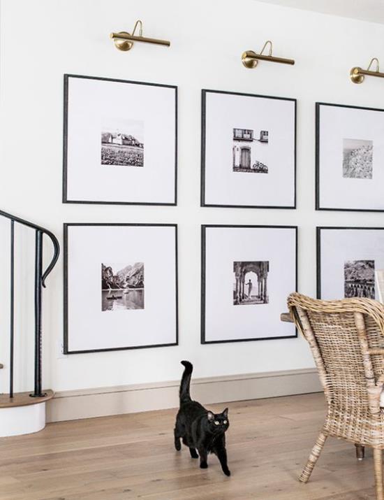 σύγχρονη δημιουργική δραστηριότητα πλαισίου τοίχου φωτογραφιών μεγάλες φωτογραφίες φωτιστικά επάνω από τη μαύρη γάτα