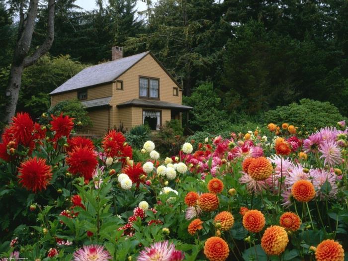 μοντέρνο σχεδιασμό κήπου πολλά χρωματιστά λουλούδια