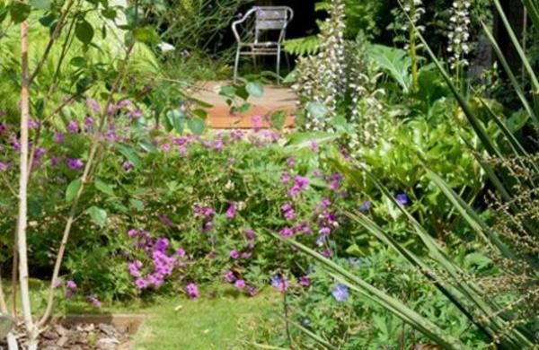 μοντέρνοι κήποι εικόνες φυτά διακοσμητικά πολύχρωμα πρακτικά