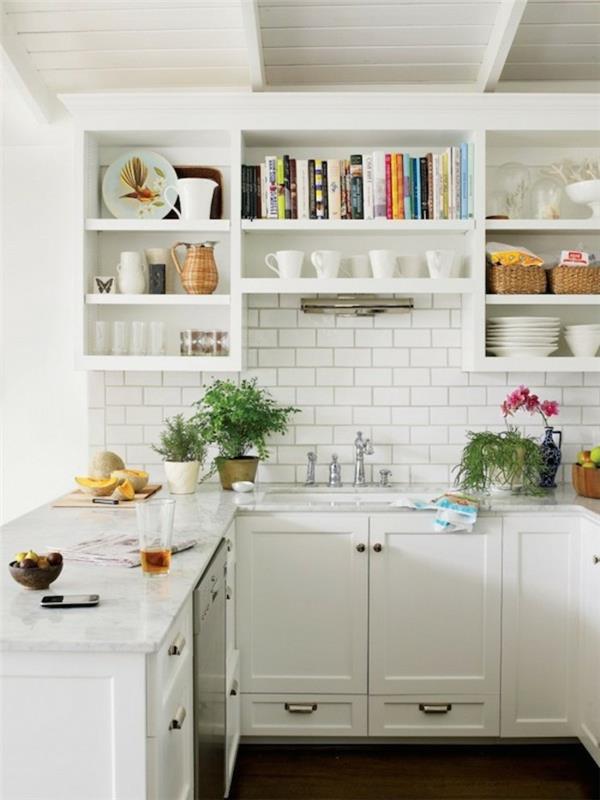 μοντέρνο σχέδιο κουζίνας σε λευκά ράφια ανοιχτού τοίχου και πολλά φυτά