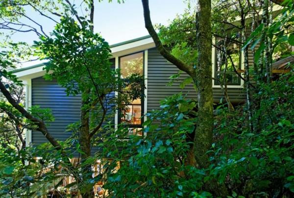 μοντέρνος σχεδιαστής σπίτι φύση δέντρα πράσινα παράθυρα