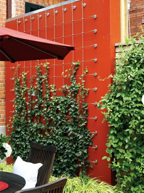 μοντέρνο δροσερό σχεδιασμό κήπου κόκκινο διαχωριστικό τοίχο ζωντανό