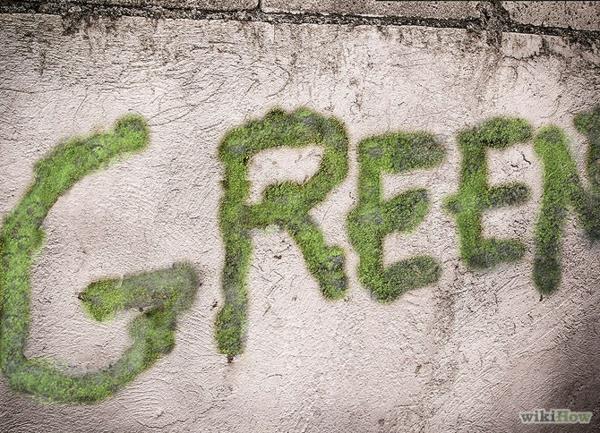 γκράφιτι βρύα μάθετε γκράφιτι δημιουργείτε πράσινες εικόνες γκράφιτι